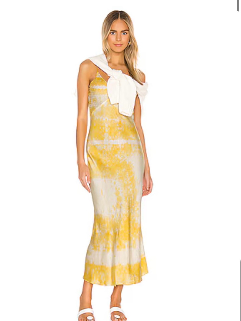 DANNIJO Limoncello Embroidered 100% Silk Slip Dress Large Bias Maxi